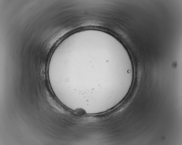 X0000116281113200912211813