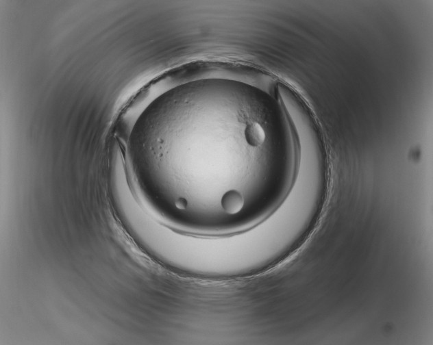 X0000116281114200912211813