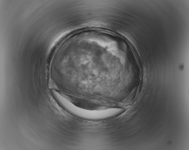 X0000116281115200912211813