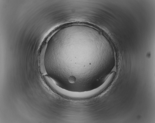 X0000116281118200912211813