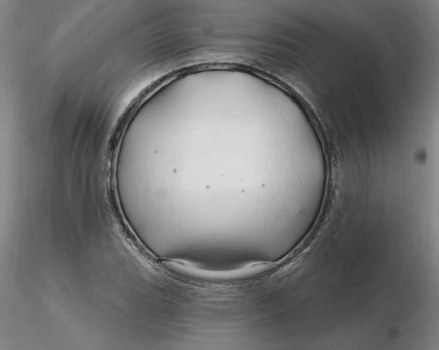 X0000116281119200912211813