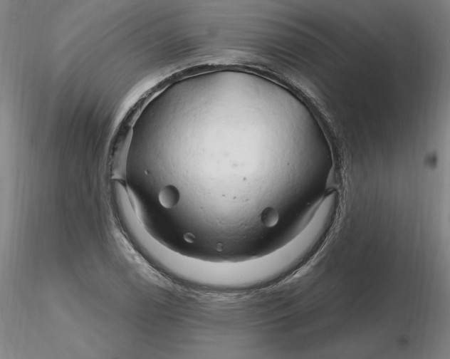 X0000116281122200912211813