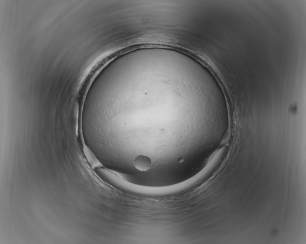 X0000116281123200912211813