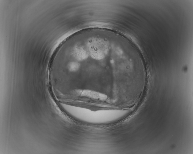 X0000116281125200912211813