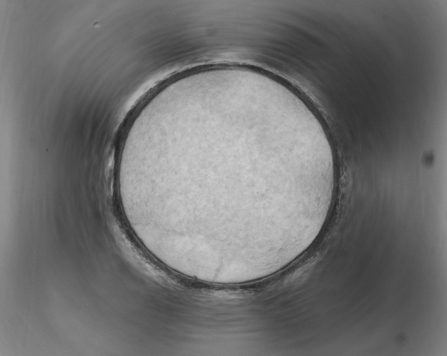 X0000116281126200912211813