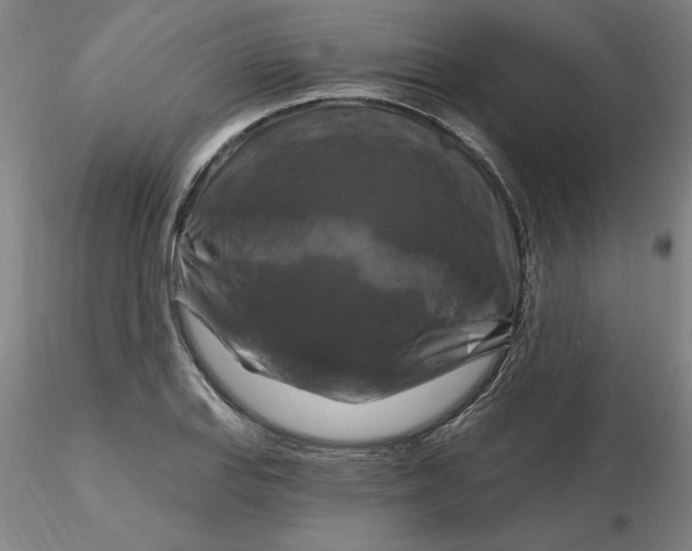 X0000116281127200912211813