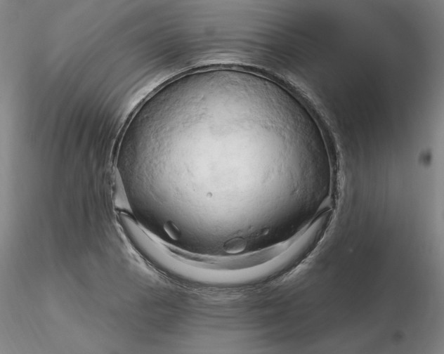 X0000116281129200912211813