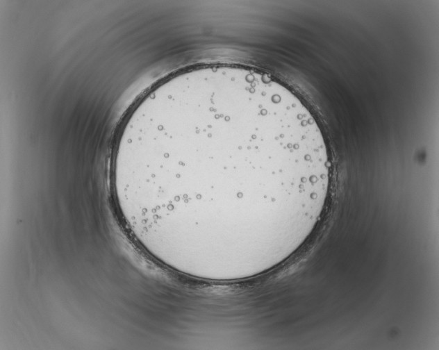 X0000116281130200912211813