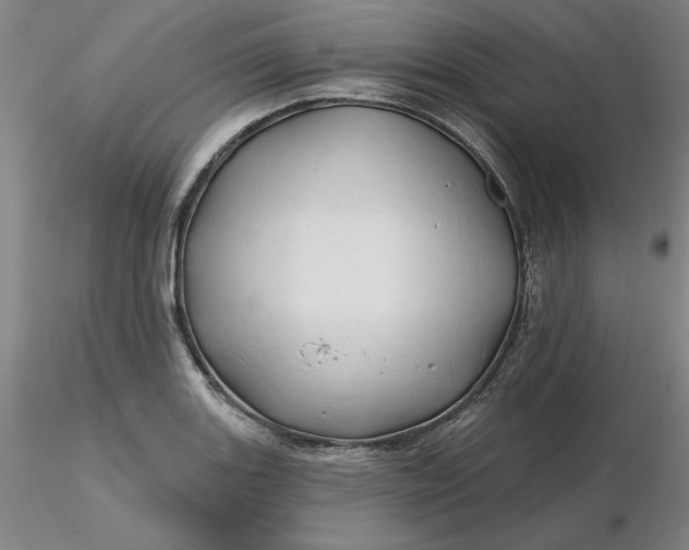 X0000116281131200912211813