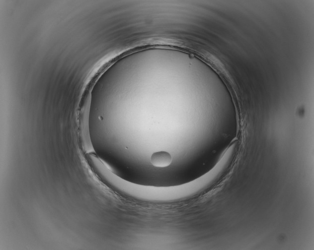 X0000116281133200912211813