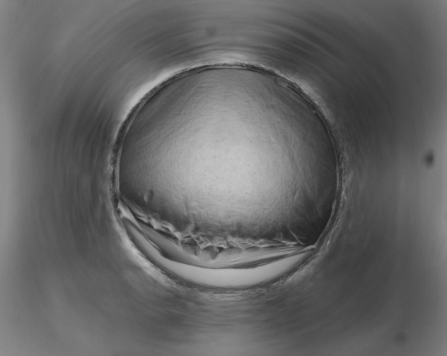 X0000116281134200912211813