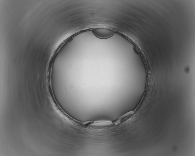 X0000116281135200912211813