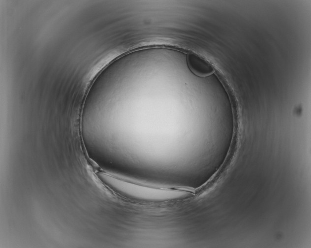 X0000116281137200912211814