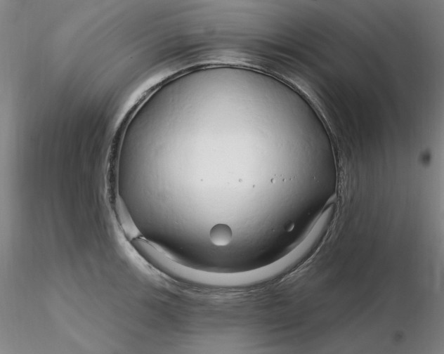 X0000116281139200912211814