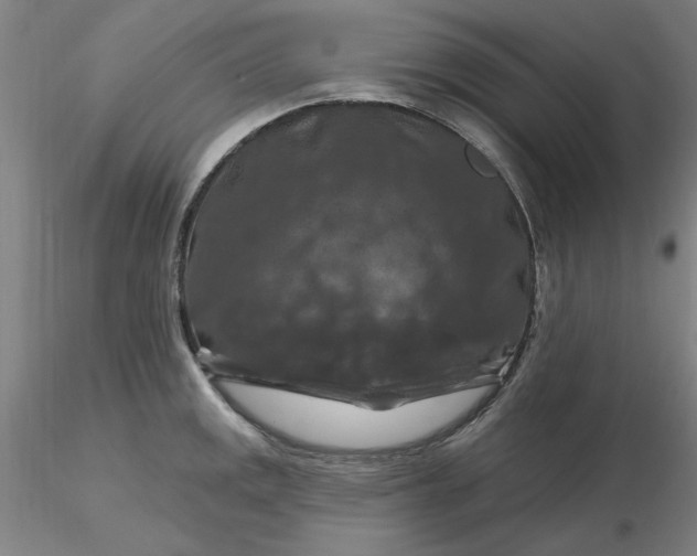 X0000116281141200912211814