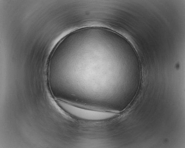 X0000116281142200912211814