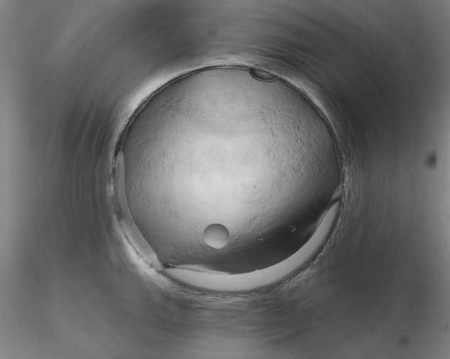 X0000116281143200912211814