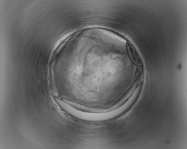 X0000116281145200912211814