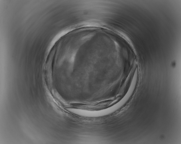 X0000116281146200912211814