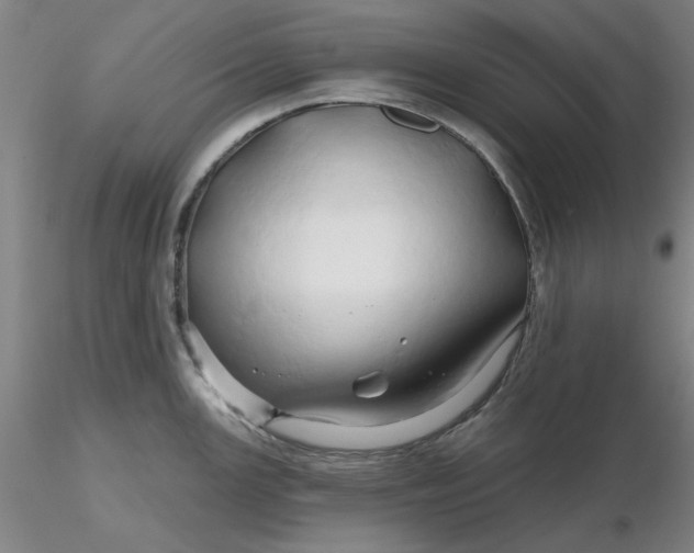 X0000116281147200912211814