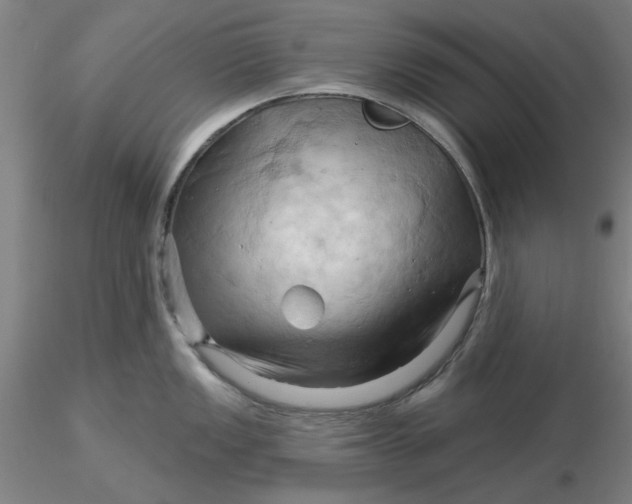 X0000116281149200912211814