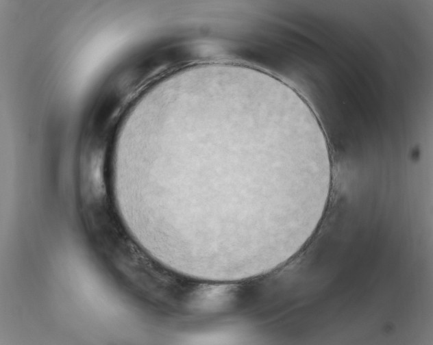 X0000116281150200912211814