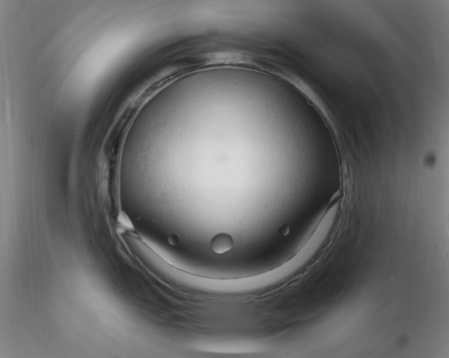 X0000116281151200912211814