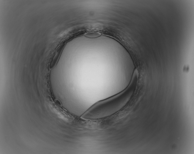 X0000116281153200912211813