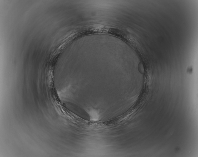 X0000116281154200912211813