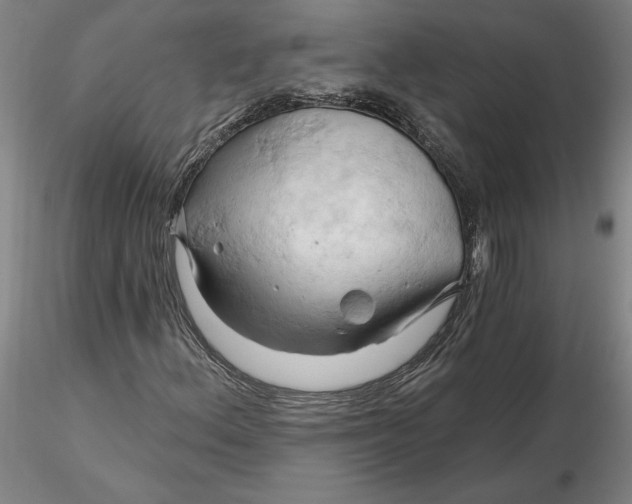 X0000116281156200912211813