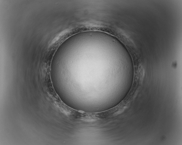 X0000116281157200912211813