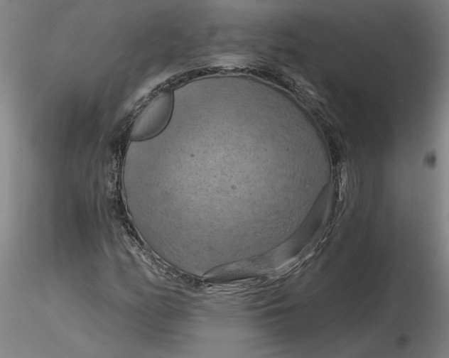 X0000116281158200912211813