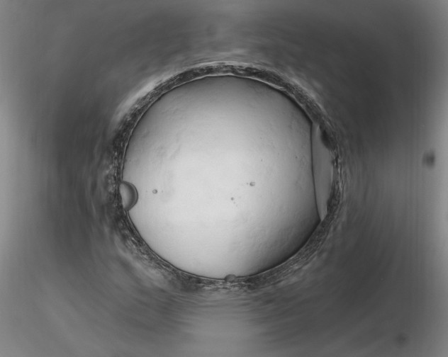 X0000116281159200912211813