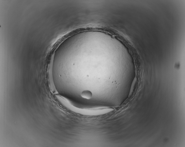 X0000116281160200912211813