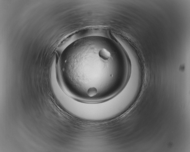 X0000116281161200912211813