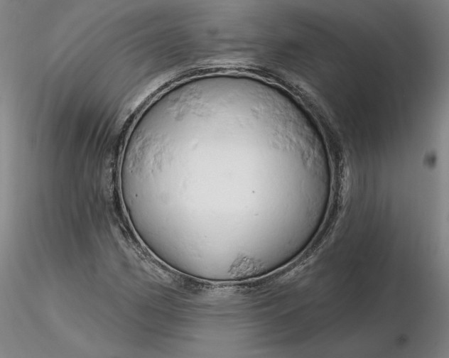 X0000116281162200912211813