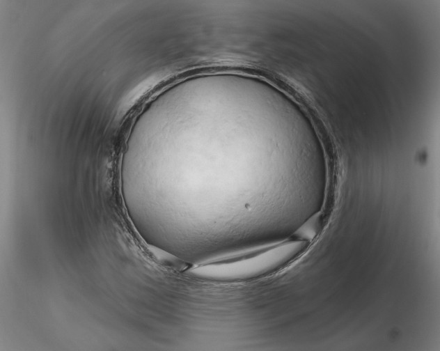 X0000116281163200912211813