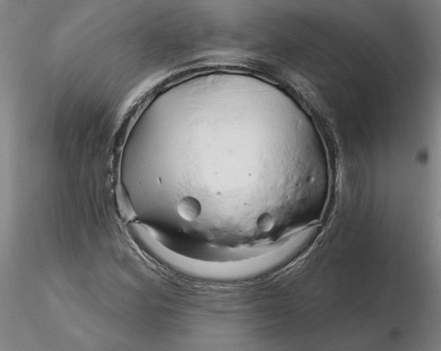 X0000116281164200912211813