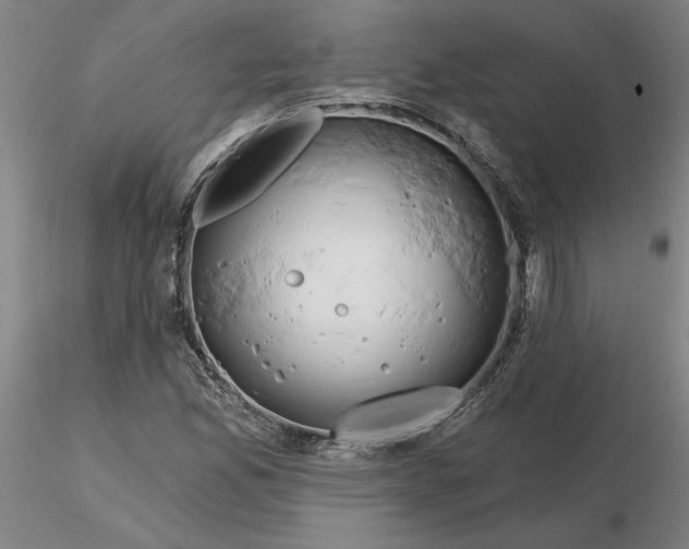 X0000116281165200912211813