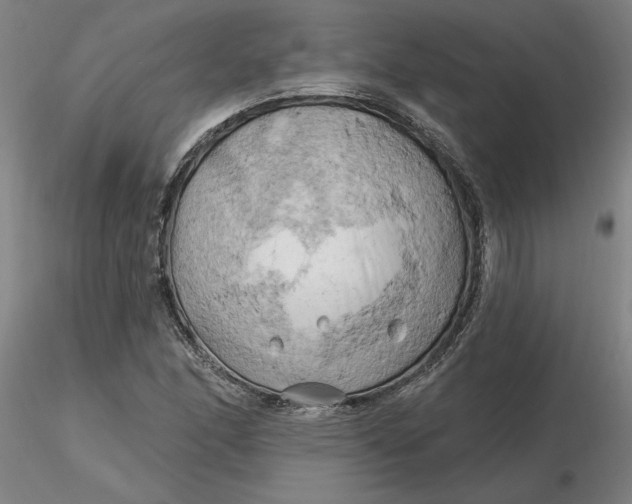 X0000116281166200912211813