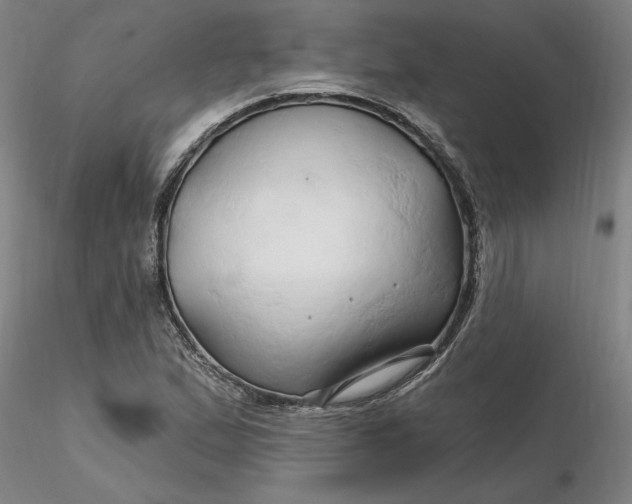 X0000116281167200912211813