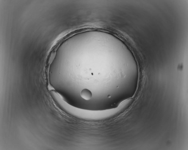 X0000116281168200912211813