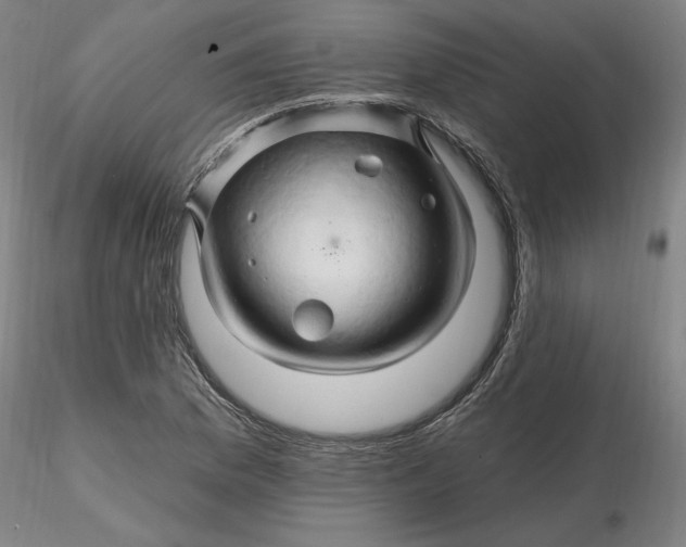 X0000116281169200912211813