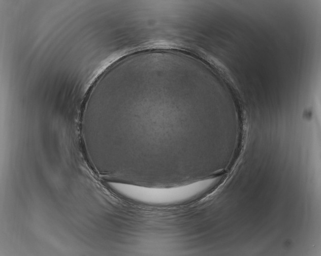 X0000116281170200912211813