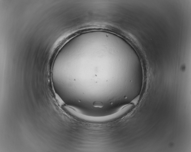 X0000116281172200912211813