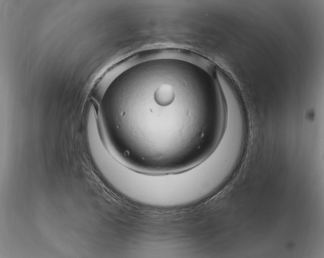 X0000116281173200912211813