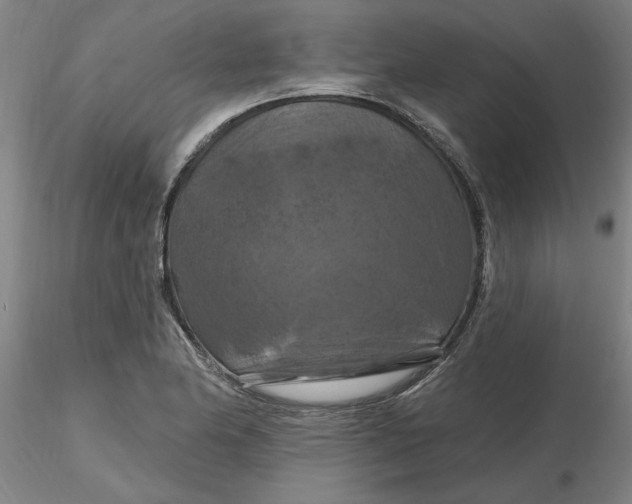 X0000116281174200912211813