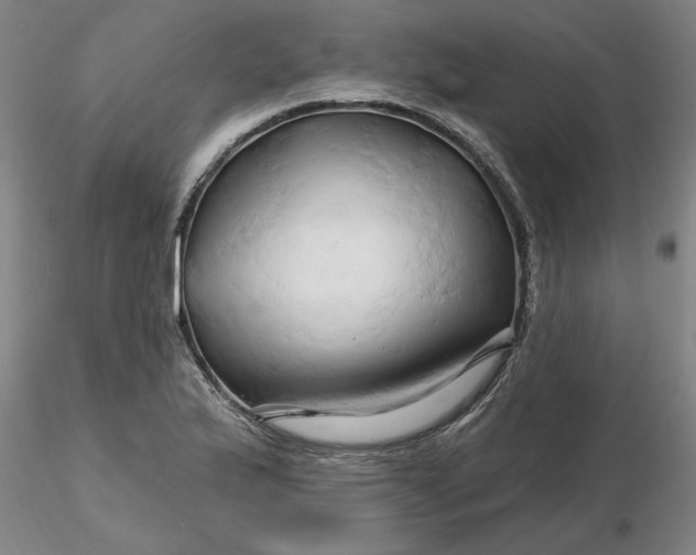 X0000116281175200912211813