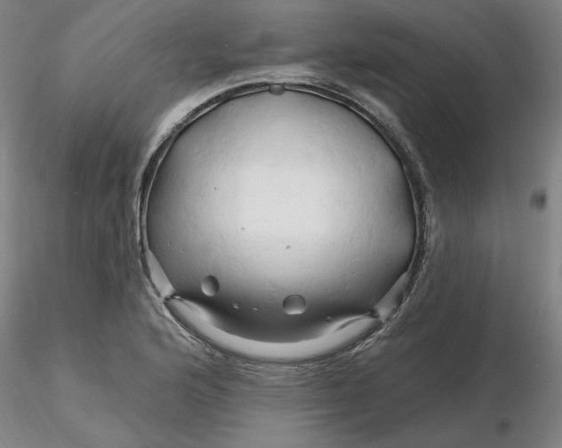 X0000116281176200912211813