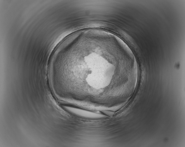 X0000116281178200912211813